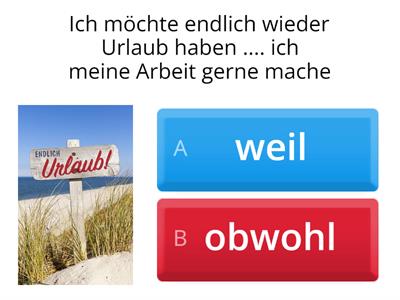 B1  Übung "weil" oder Obwohl"