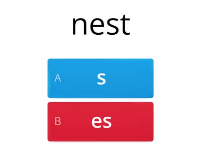 plural: -s or -es (lower primary, no vowel teams)