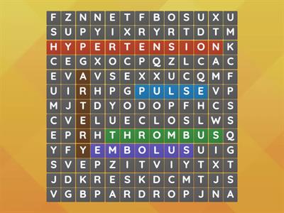 Terms in CArdiovascular system 