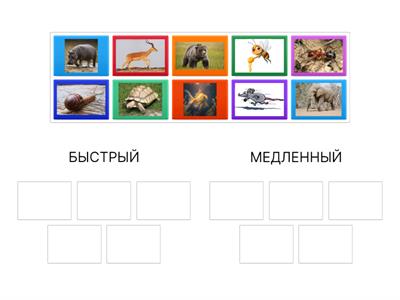 БЫСТРЫЙ И МЕДЛЕННЫЙ ТЕМП