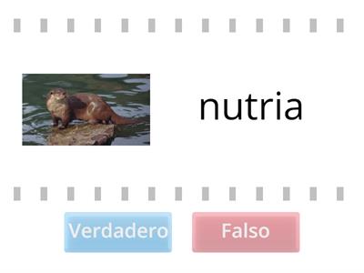 ¿Comienzan con "N"?