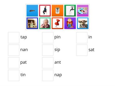 SATPIN picture to word match