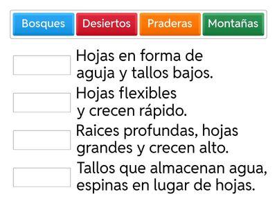 Características de plantas terrestres