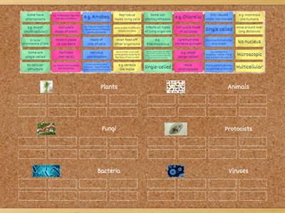 iGCSE Bio - Organism Features
