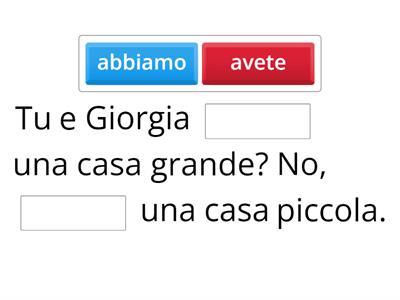 Avere: l'indicativo presente