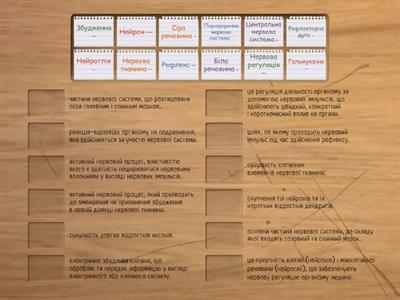 Нервова регуляція. Нервова система