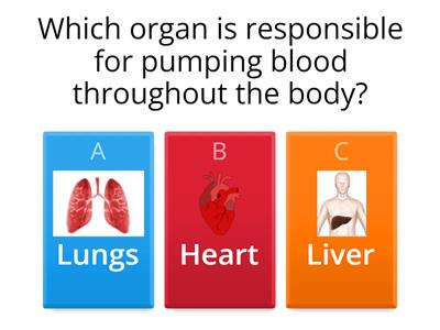 The Circulatory System 