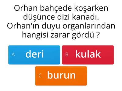 duyu organlarımız