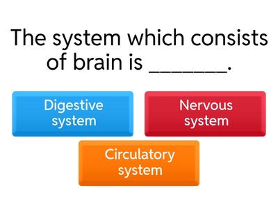 G5  sci -The Nervous system
