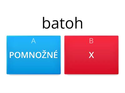 POMNOŽNÁ PODSTATNÁ JMÉNA