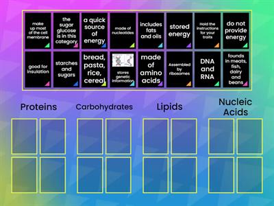 Comparing Biomolecules