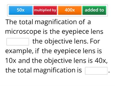 Magnification calculations