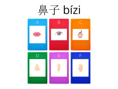 身体部分 for kids