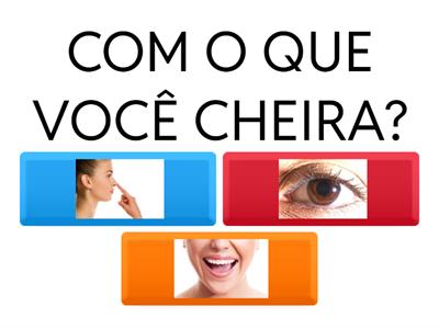 Cópia das funções das partes do corpo