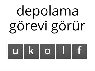 7.sınıf Fen Bilimleri 2.Ünite