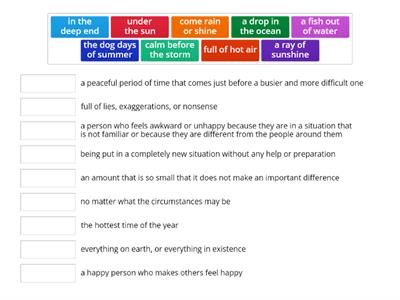 Summer Idioms (Twinkl B2-C1)