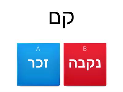 זכר ונקבה -פעלים 