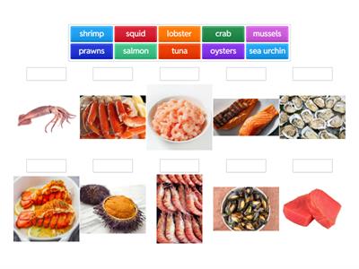Common Fish and Seafood