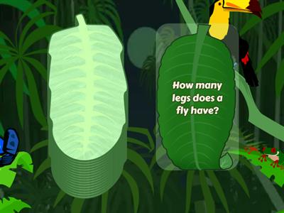 Random questions kids 8