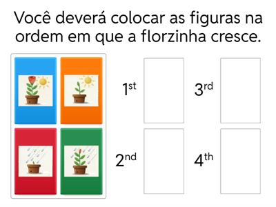 1- Sequência de cenas - flor 1AT