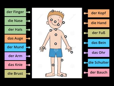 Körperteile