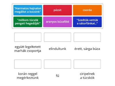 A jó orvosság-Szókincsfejlesztés