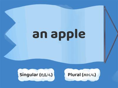 Singular and plural 2