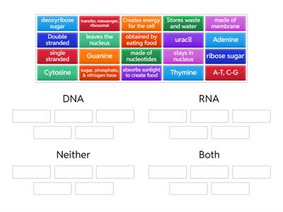 Compare/Contrast DNA and RNA