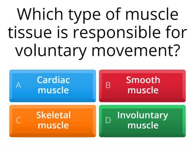 Muscle Tissue Quiz
