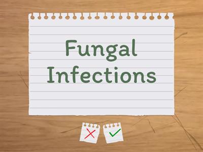 Integumentary System (8 terms)