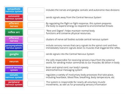 Nervous System