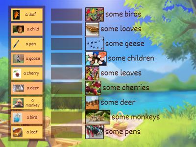 Singular Noun to Plural Noun SET TWO