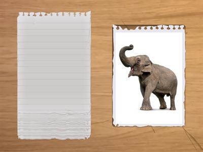 Speaking cards : There is / There are