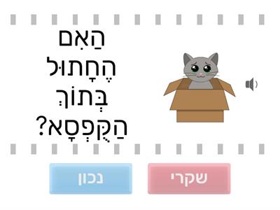 מושגי מרחב