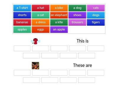 FF1 This is/These are