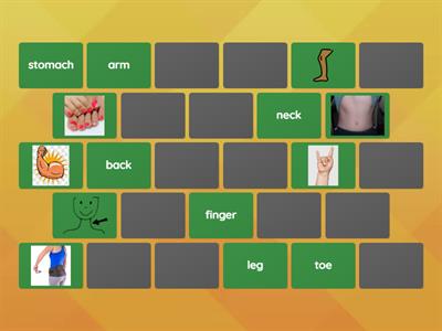 Be Curious 4 - Unit 3 - Body Vocabulary