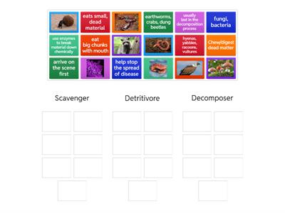 What's the Difference?