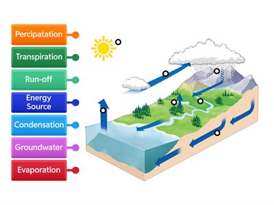 Water Cycle Labeled Diagram 