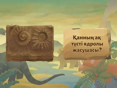 Үй тапсырмасы