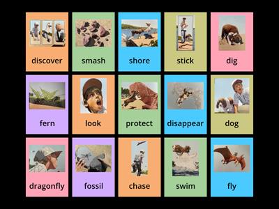 'Fossil' - make up sentences using target words