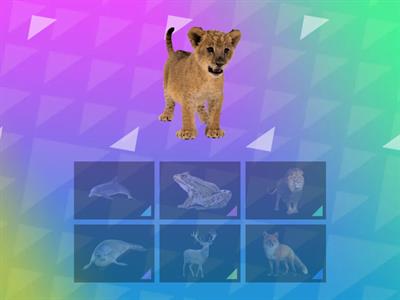 Звук Ль. Взрослые и детёныши