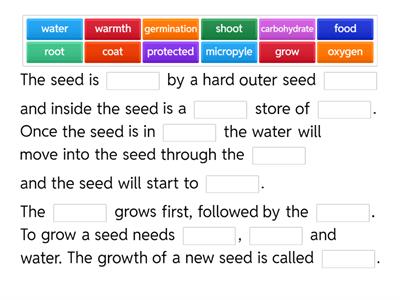 Seed Structure