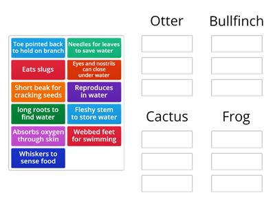 Animal and Plant Adaptation