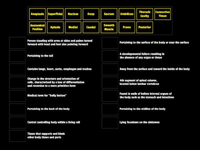 Med Term: Whole Body Terminology Warmup 