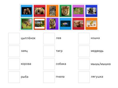 животные РКИ