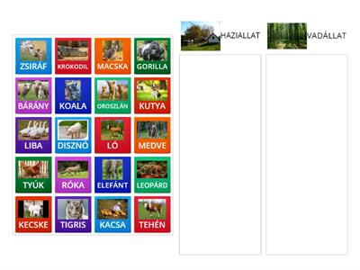 Háziállat? Vadállat?