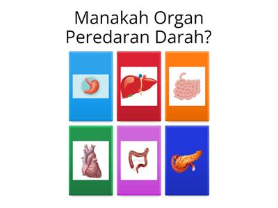 KUIS ANATOMI Sistem Peredaran Darah dan Sistem Pernapasan