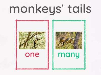 Possessive noun singular plural 2