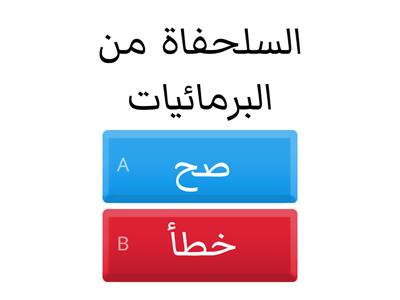 دورة حياة الضفدع والسلحفاة 