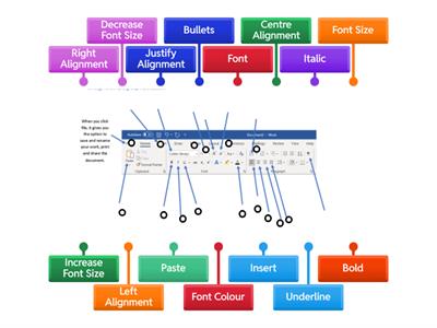 Microsoft Word Labelling